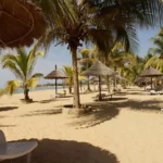 senegal-coastal-protection-780x439-v3